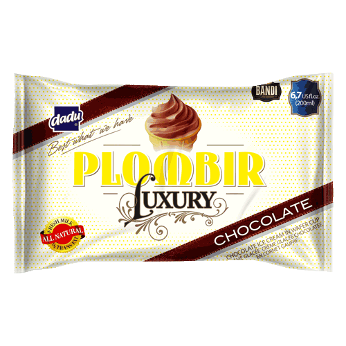 Plombir Luxury Chocolate Ice Cream